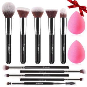 Beakey Makeup Brushes Set